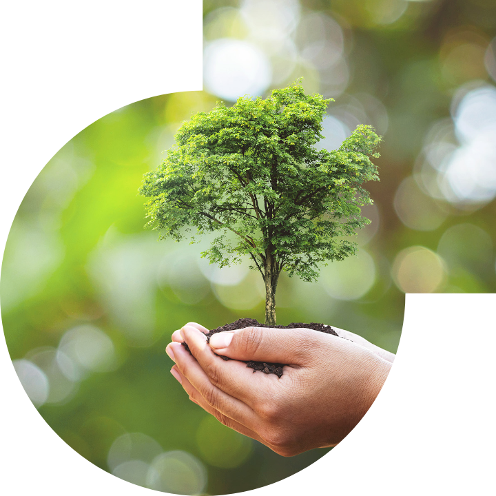 关怀人类、文化、环境与社会